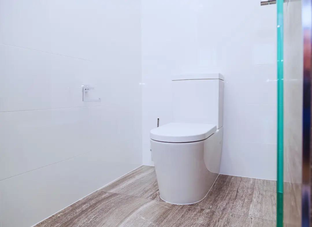 Remplacement de wc Sèvremoine