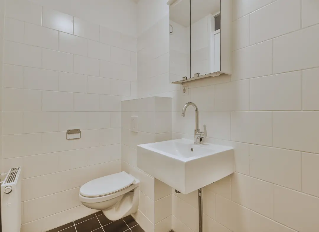 Pose WC Suspendu Sèvremoine